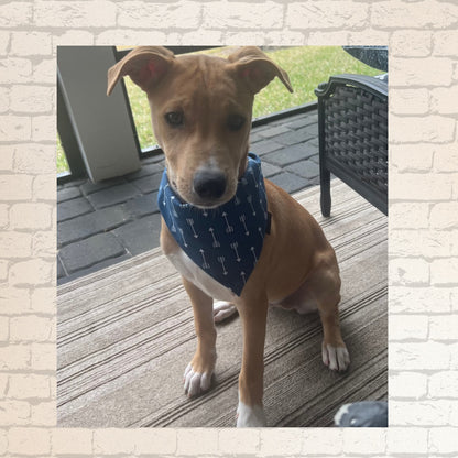 Navy Blue with Arrow Design Classic Tie on Custom Dog Bandana