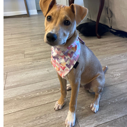 Pastel Hearts Classic Tie on Dog Bandana