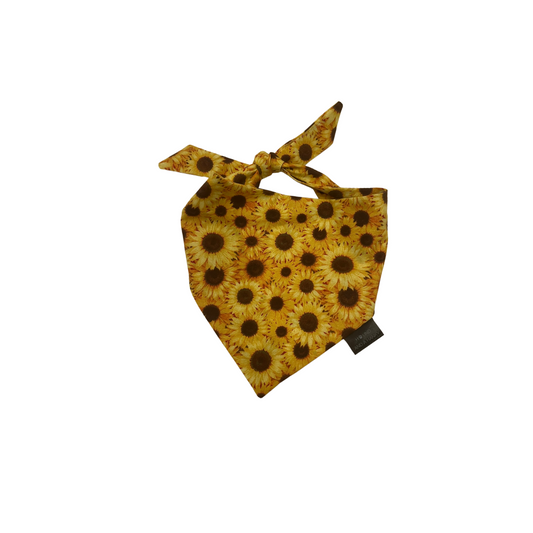 Sunflowers Dog Bandana